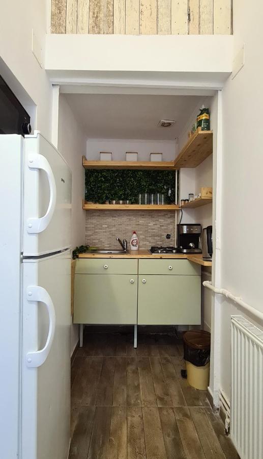 Apartament Zeiss House Braszów Zewnętrze zdjęcie