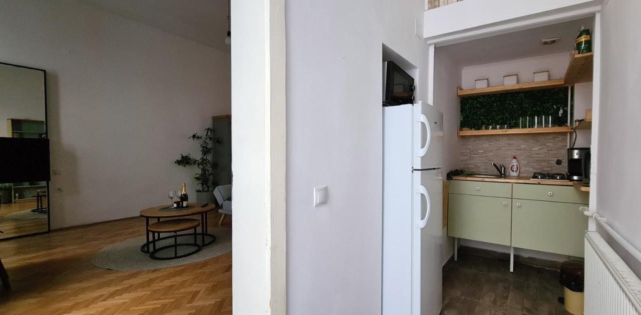 Apartament Zeiss House Braszów Zewnętrze zdjęcie
